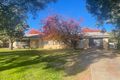 Property photo of 50 Templemore Street Young NSW 2594