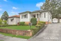 Property photo of 119 Cooper Road Birrong NSW 2143