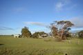 Property photo of 4054 Mallee Highway Peake SA 5301