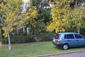 Property photo of 50 Alexander Road Dalkeith WA 6009