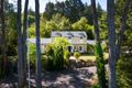 Property photo of 8 Birch Road Stirling SA 5152