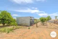 Property photo of 169 Euston Avenue Irymple VIC 3498