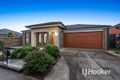 Property photo of 22 Guinea Flower Drive Cranbourne West VIC 3977
