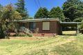 Property photo of 150 Great Western Highway Wentworth Falls NSW 2782