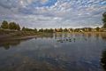 Property photo of 1 Candella Square Stirling WA 6021