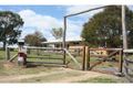 Property photo of 4318 Leyburn-Cunningham Road Wheatvale QLD 4370