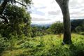 Property photo of 60 Brindle Creek Road Loadstone NSW 2474
