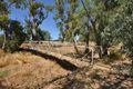 Property photo of 11 Park Terrace Quorn SA 5433