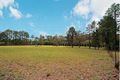 Property photo of 223 Waratah Road Mangrove Mountain NSW 2250