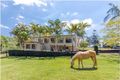 Property photo of 9 Canungra Court Clagiraba QLD 4211
