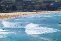 Property photo of 1A Sandridge Street Bondi NSW 2026