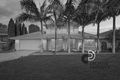Property photo of 5 Smokebush Place Garden Suburb NSW 2289
