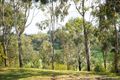Property photo of 110 Rockleigh Road Exeter NSW 2579