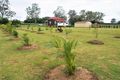Property photo of 124 Station Road Horton QLD 4660