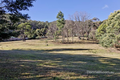 Property photo of 769 Back River Road Magra TAS 7140