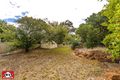 Property photo of 17 Gumnut Close Swan View WA 6056