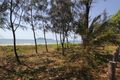 Property photo of 6/69 Banfield Parade Wongaling Beach QLD 4852