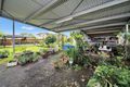 Property photo of 9 Alexander Street Innisfail Estate QLD 4860