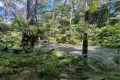 Property photo of 258 Ganyan Drive Speewah QLD 4881