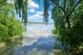 Property photo of 8172 Princes Highway Tailem Bend SA 5260
