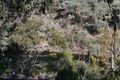 Property photo of 464 Wilton Park Road Wilton NSW 2571