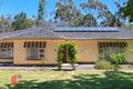 Property photo of 33 Meadow Avenue Hawthorndene SA 5051