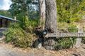 Property photo of 83 Halls Road Cedar Creek QLD 4520