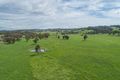 Property photo of 784 Old Brookmount Road Walcha NSW 2354