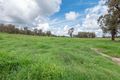Property photo of 784 Old Brookmount Road Walcha NSW 2354
