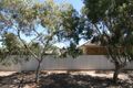Property photo of 42 Flinders Street Edwardstown SA 5039