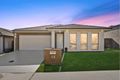 Property photo of 16 Starcevich Crescent Jacka ACT 2914