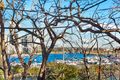 Property photo of 14 Datchett Street Balmain East NSW 2041