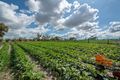 Property photo of 412 Badgerup Road Gnangara WA 6077