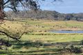 Property photo of 1224 Jerrara Road Bungonia NSW 2580