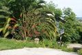 Property photo of 5 Keith Street Girards Hill NSW 2480