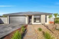 Property photo of 89 Rodeo Drive Lang Lang VIC 3984