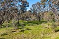Property photo of 1201 Dunolly-Timor Road Timor VIC 3465