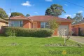 Property photo of 123 Jersey Road Greystanes NSW 2145
