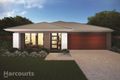 Property photo of LOT 547 Bangor Terrace Cobbitty NSW 2570