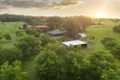 Property photo of 41 Lisadell Road Medowie NSW 2318
