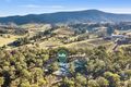 Property photo of 481 Mount View Road Mount View NSW 2325