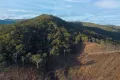 Property photo of 334 Hells Hole Creek Road Bonnie Doon VIC 3720
