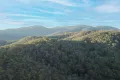 Property photo of 334 Hells Hole Creek Road Bonnie Doon VIC 3720