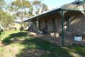 Property photo of 4054 Mallee Highway Peake SA 5301