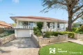 Property photo of 16 Carnegie Road Chester Hill NSW 2162