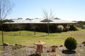 Property photo of 89 Cameron Road Stanthorpe QLD 4380