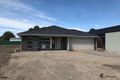 Property photo of 14 Vittorio Road Mernda VIC 3754