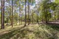 Property photo of 265 Beaudesert Nerang Road Nerang QLD 4211