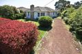 Property photo of 31 Mount View Street Aspendale VIC 3195