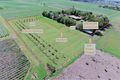 Property photo of 135 Sauers Road Kalkie QLD 4670